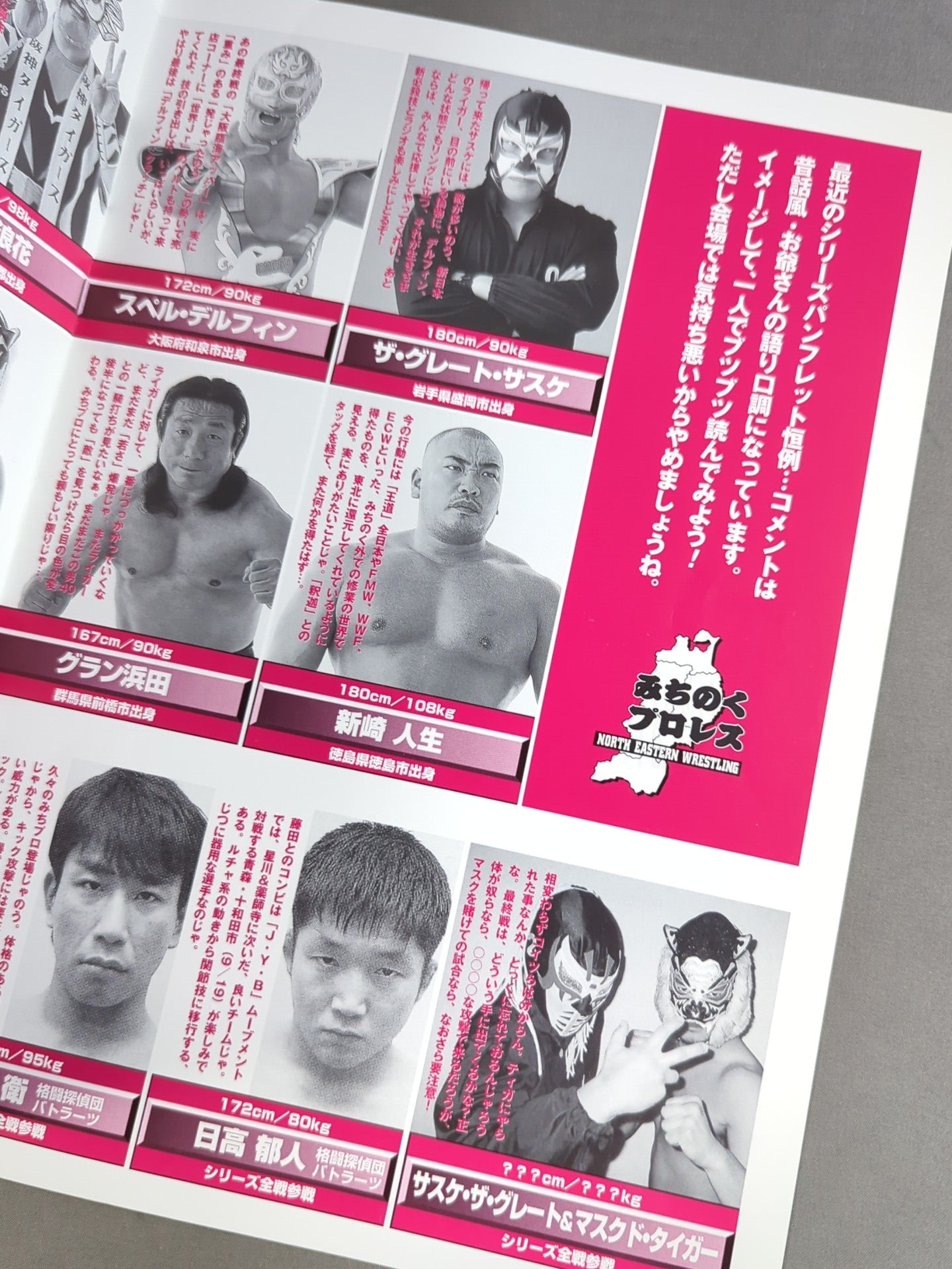 Michinoku Pro Wrestling  Official Pamphlet Vol.44
