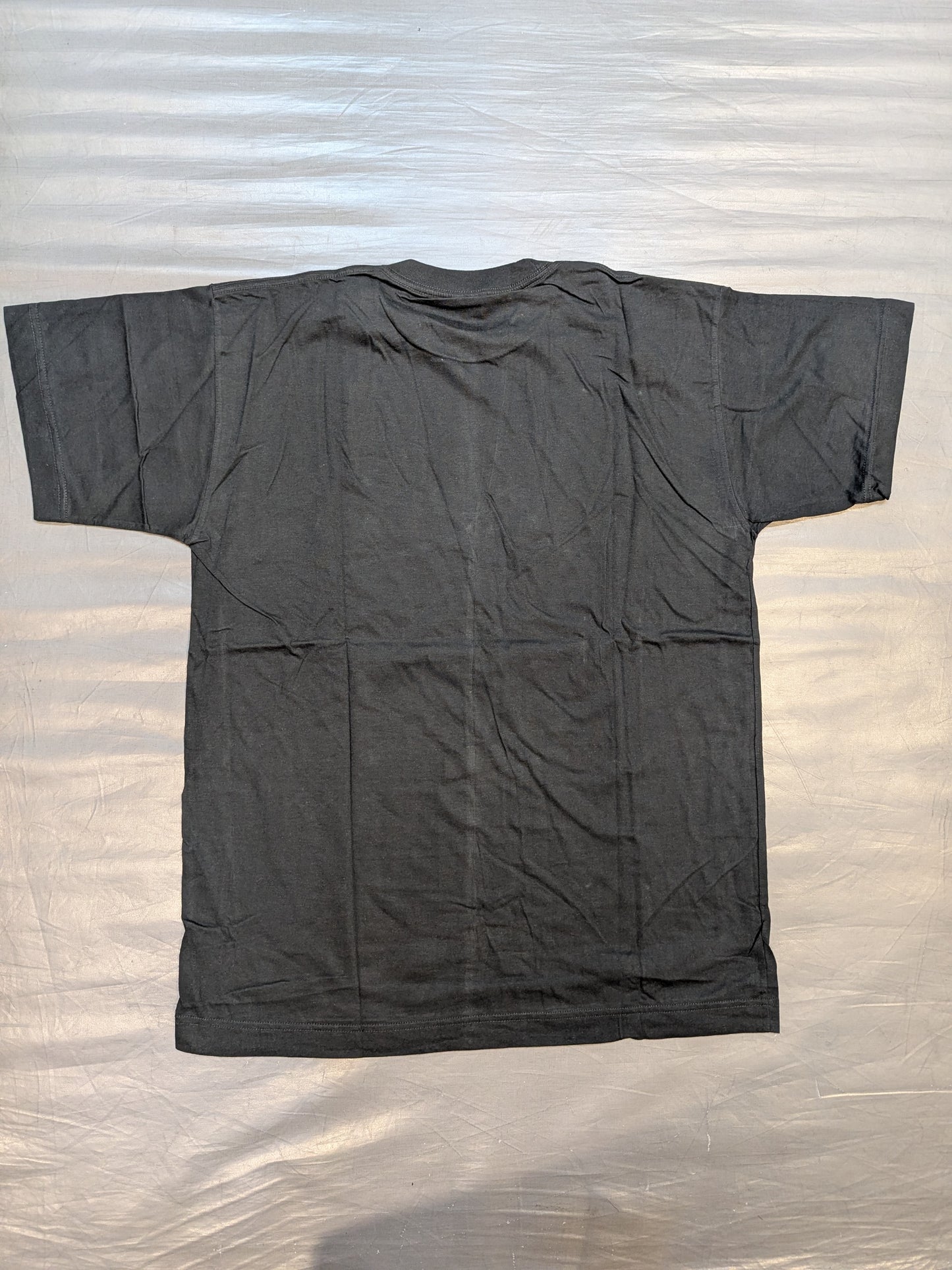 天龍源一郎＆阿修羅・原「Revolution 10周年記念」Tシャツ