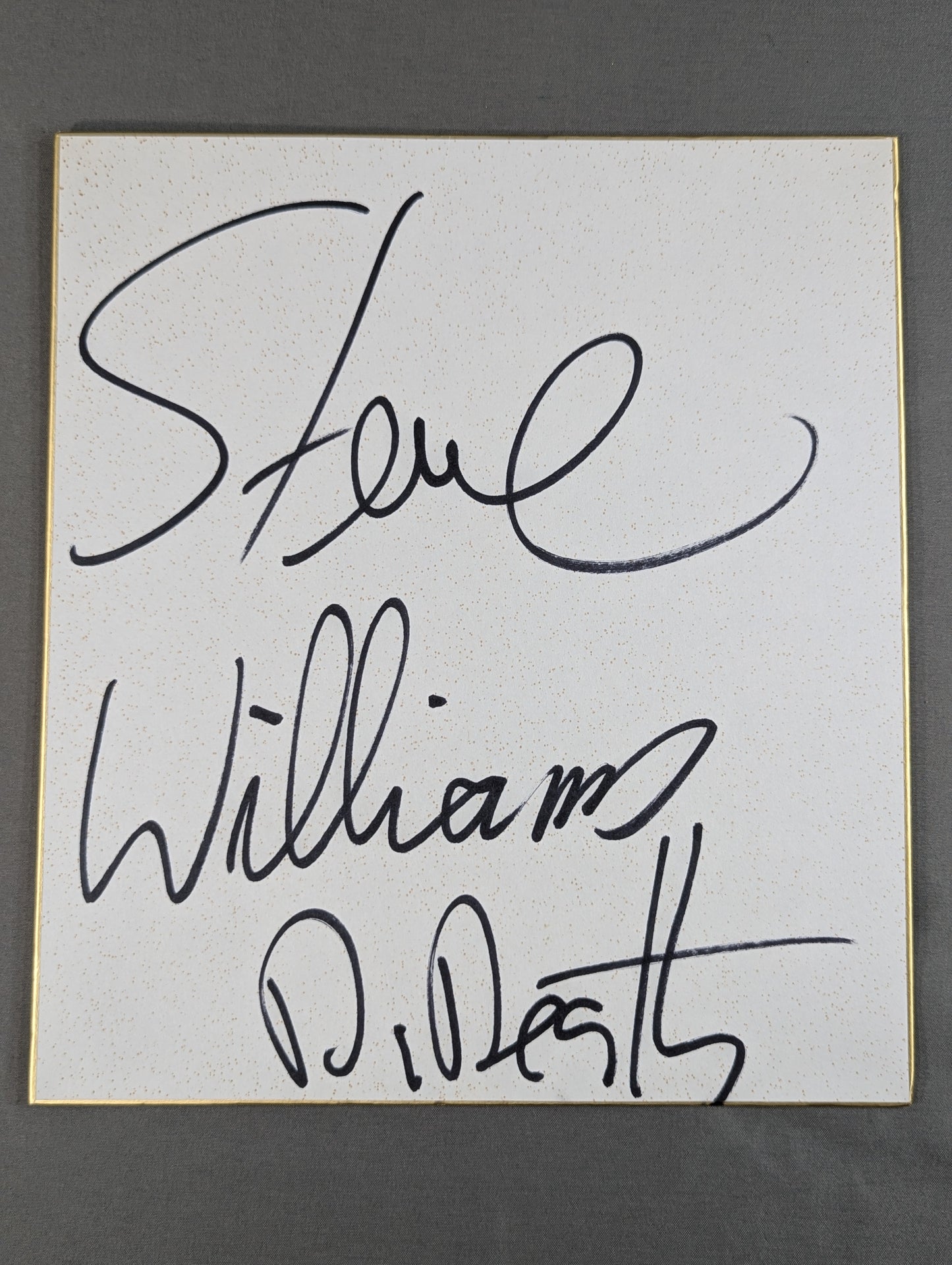 Steve Williams