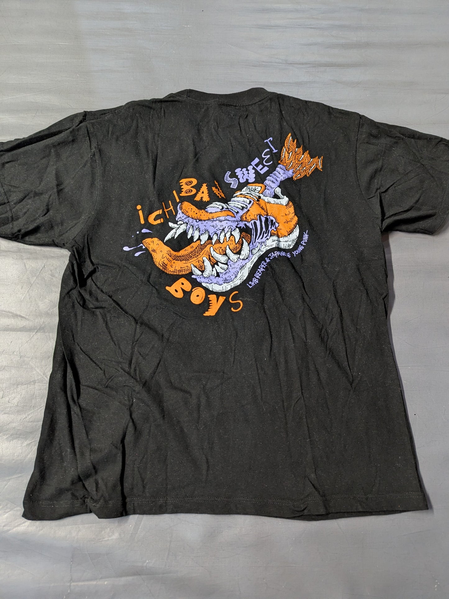Kosei Fujita  & Robbie Eagles T-Shirt