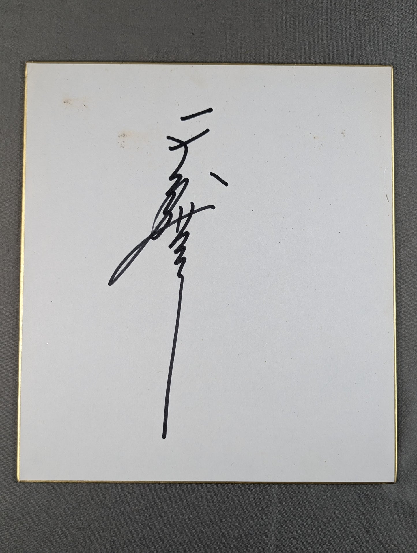 Tenryu Genichiro 