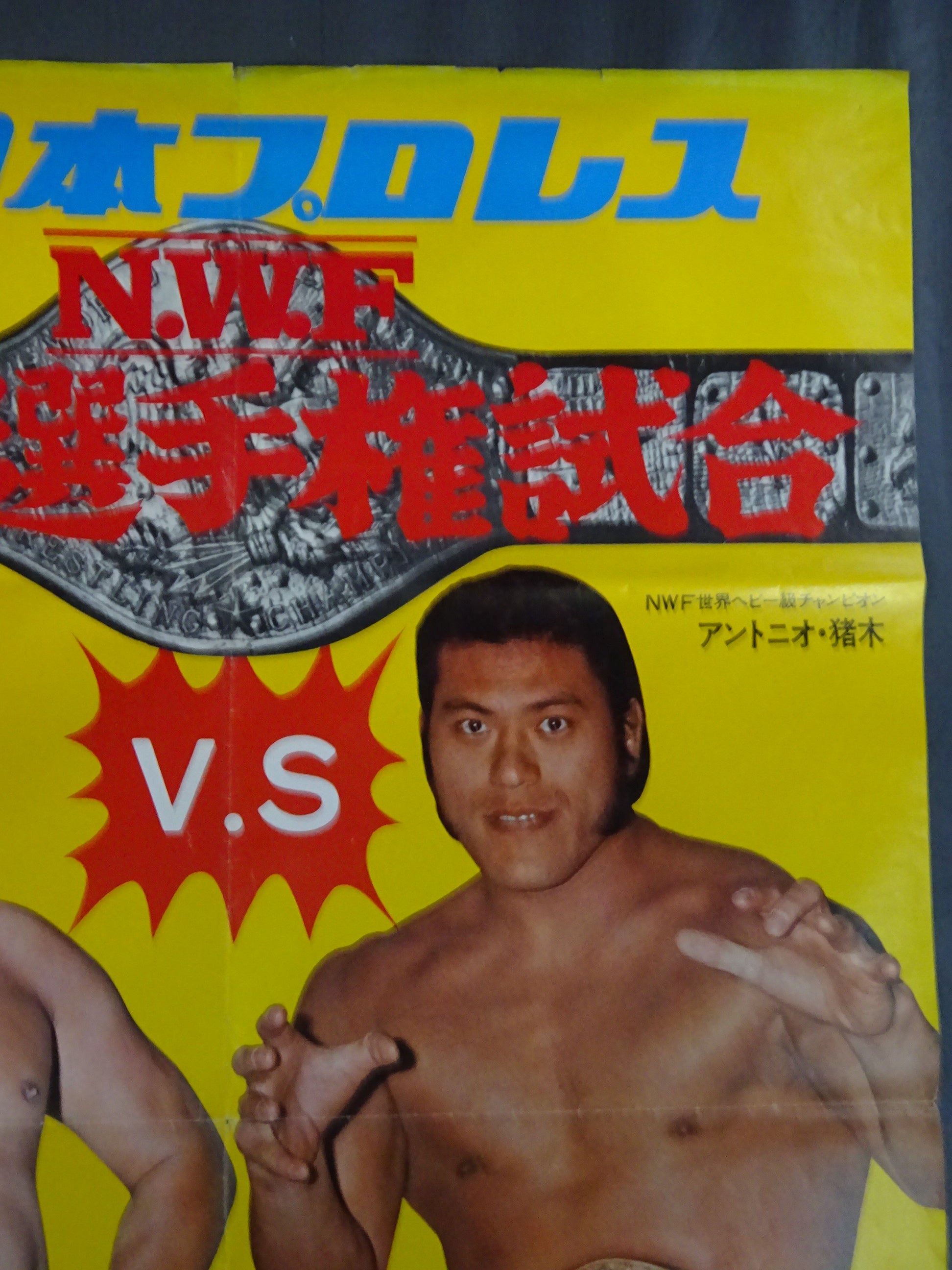 ☆NWF世界選手権試合☆ アントニオ猪木vs大木金太郎 – 闘道館