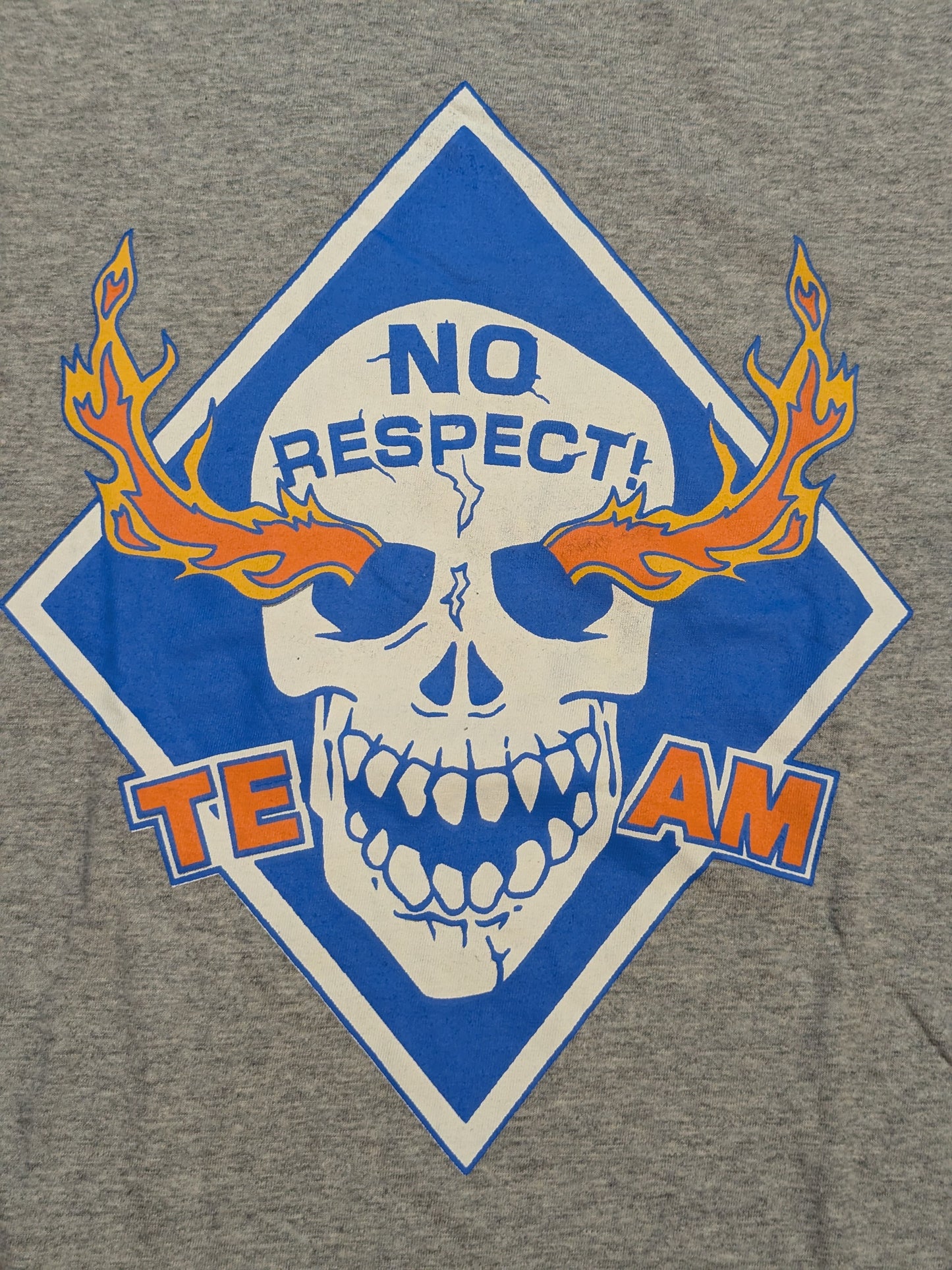 TEAM NO RESPECT T-shirt (Gray)