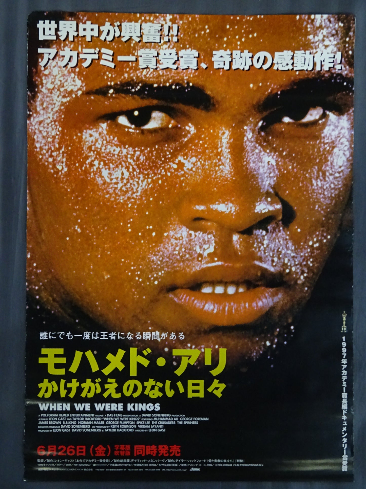 Muhammad Ali  Irreplaceable Days