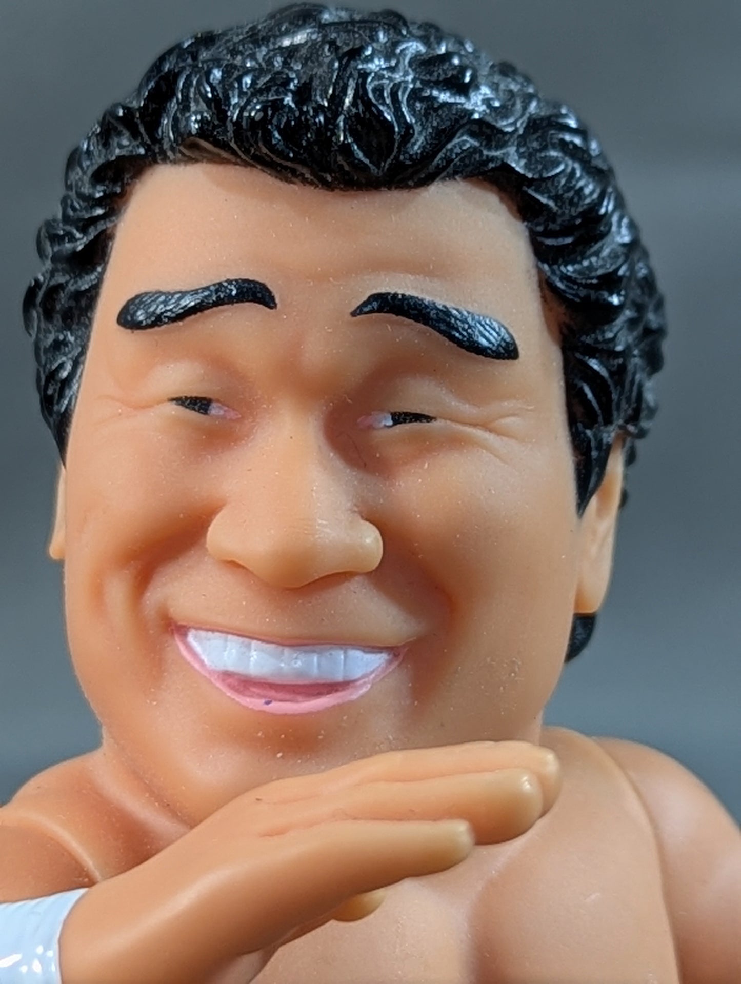 Tenryu Genichiro  Retirement Commemorative Figure (Chop)