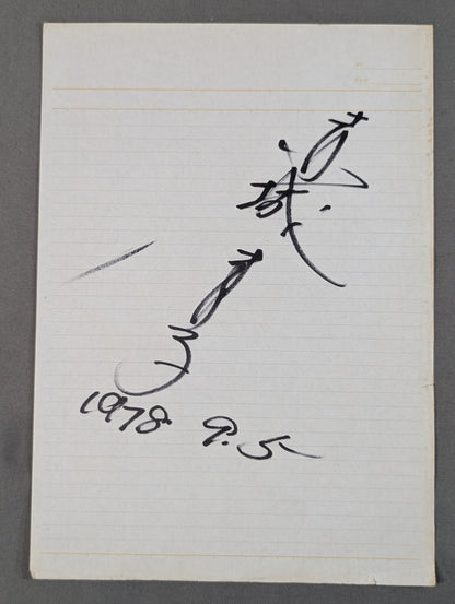Mariko Akagi (B5 size notebook paper)