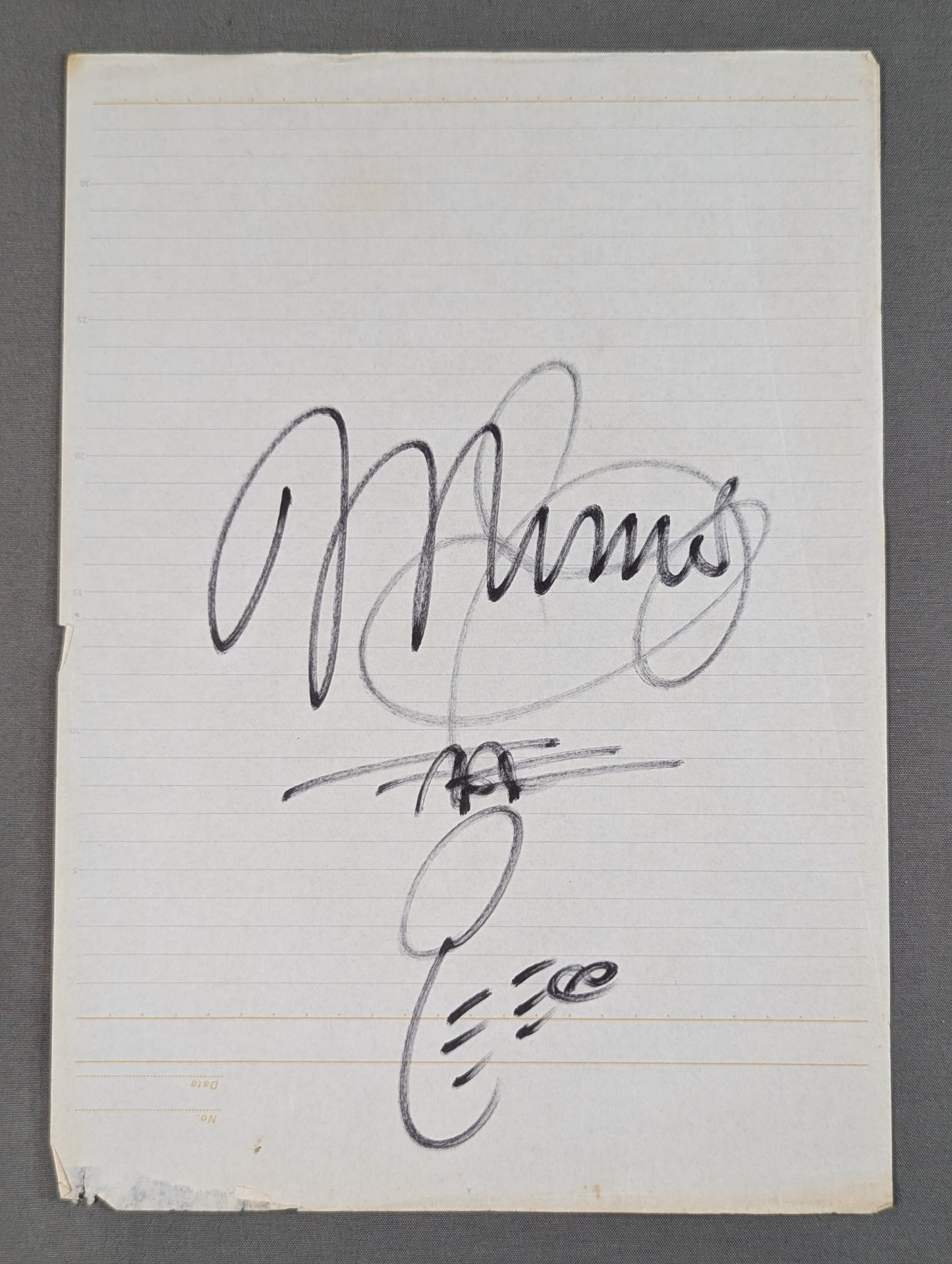 Mimi Hagiwara (B5 size notebook paper)