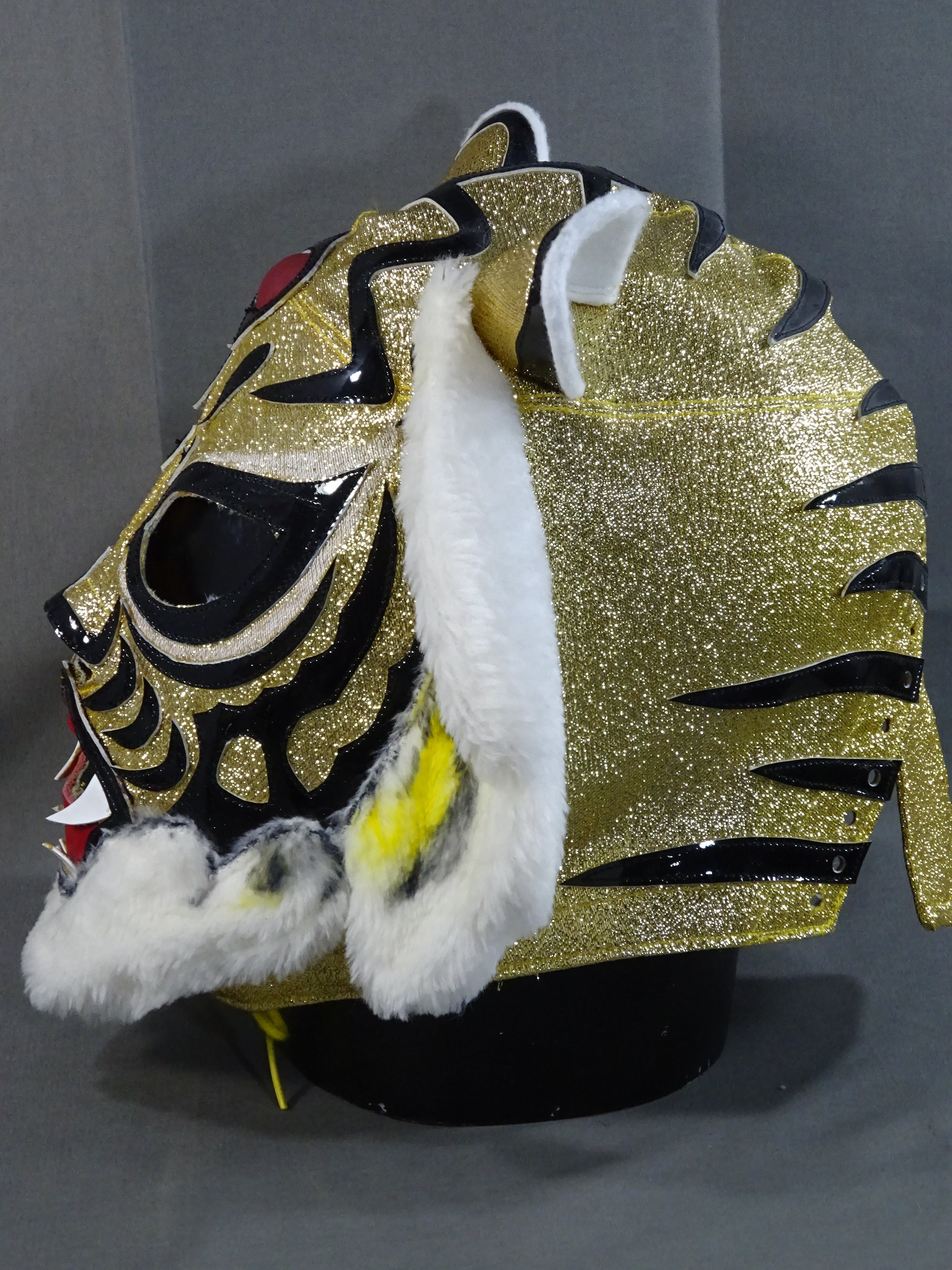 The first Tiger Mask – 闘道館