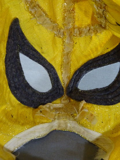 The first Tiger Mask