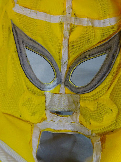2nd Tiger Mask