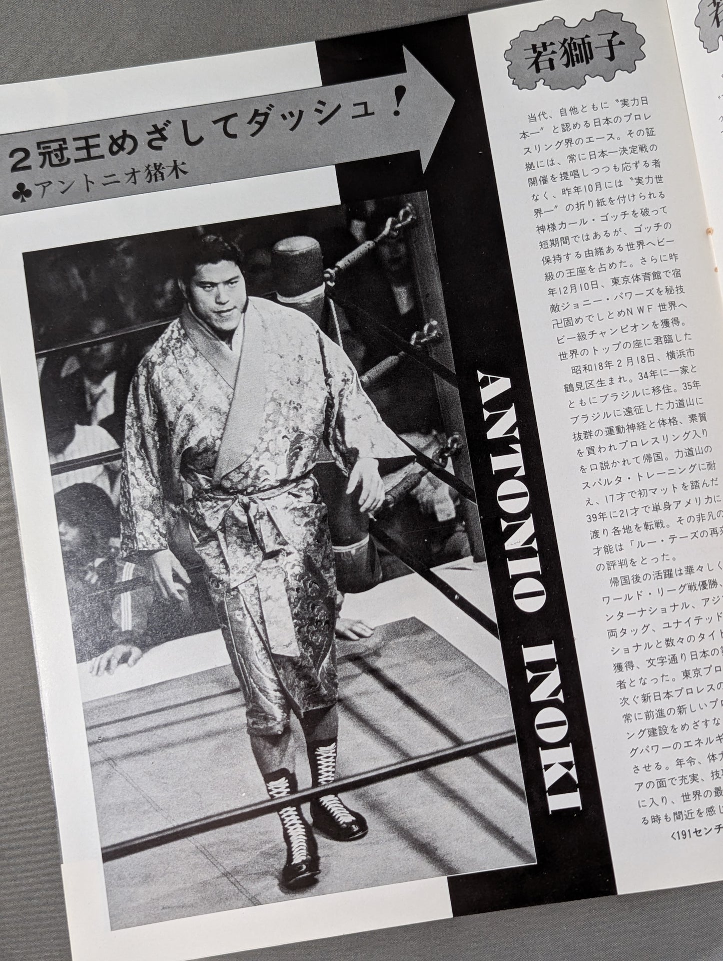 74 Golden Fight Series