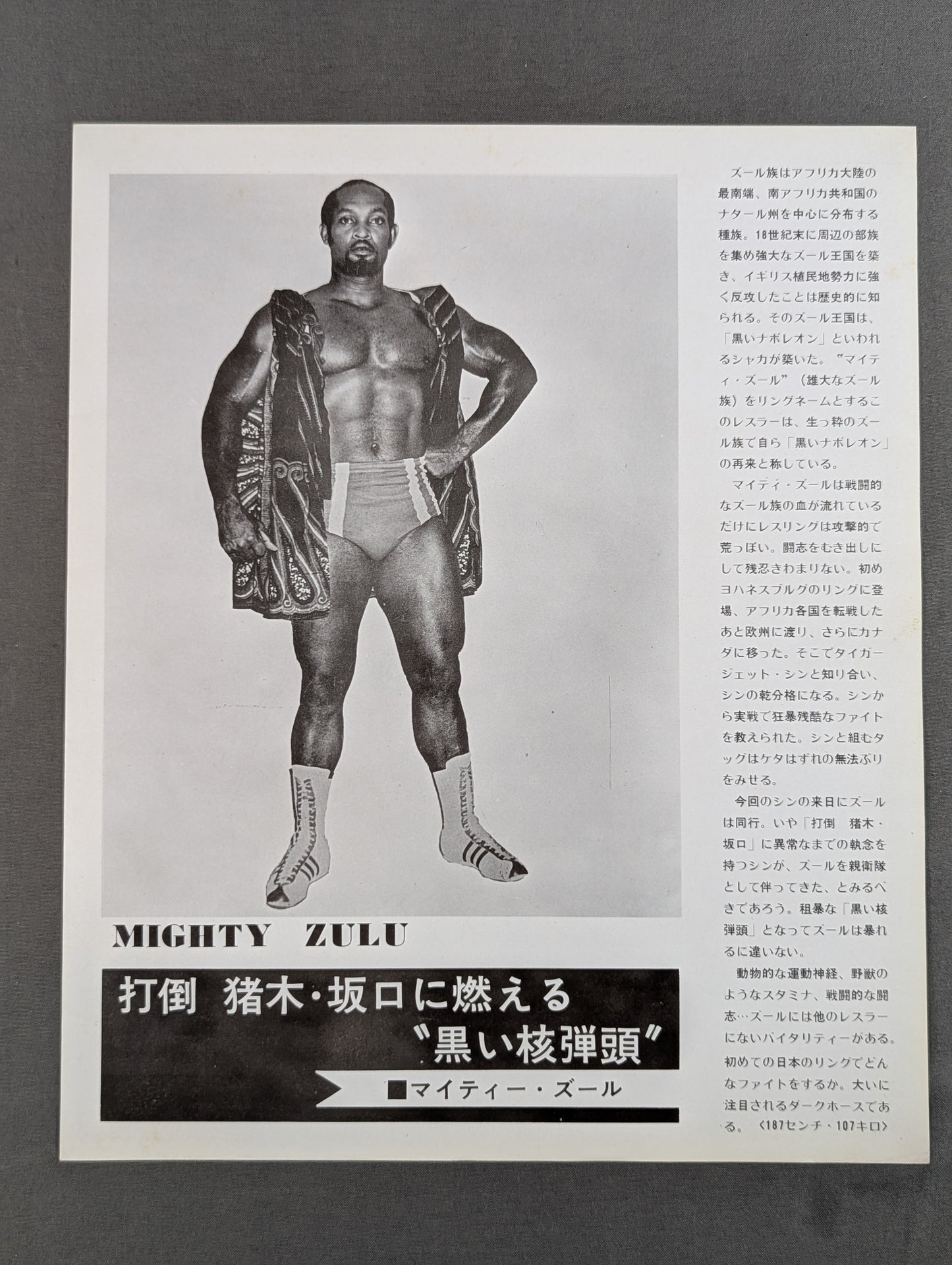 [8 fighters  hand signed autograph ] ★ Inoki vs Shin NWF Match ★ 75 Big Fight Series