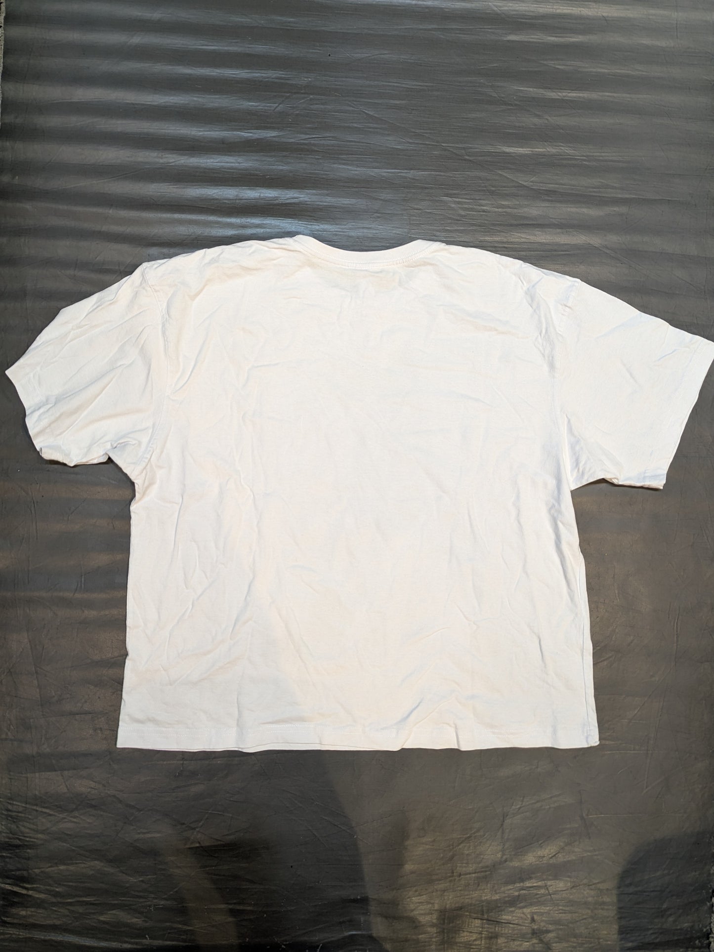 Dragon Bane Illustration T-Shirt (1) (White)