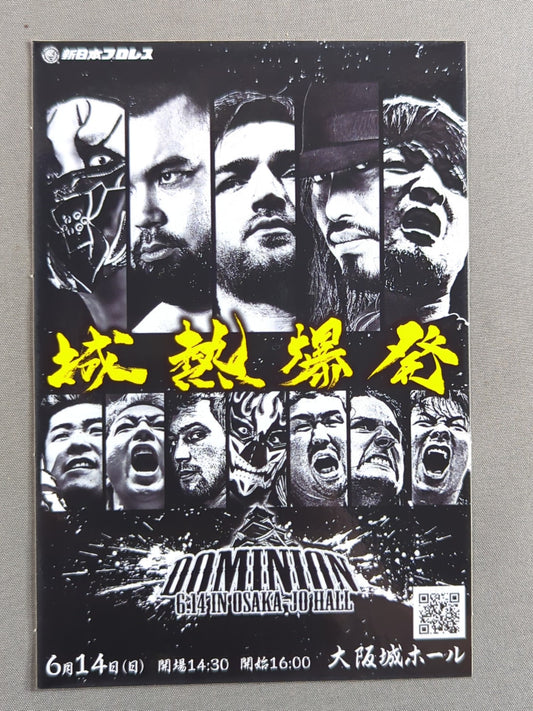 ★ ★ not sold in stores New Japan Pro Wrestling "Castle Heat Explosion" Sticker
