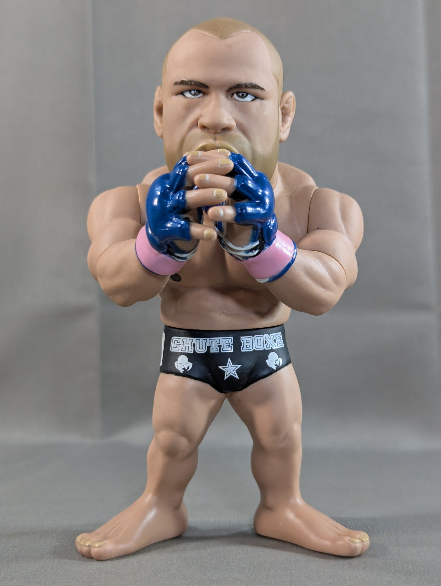 Wanderlei Silva 