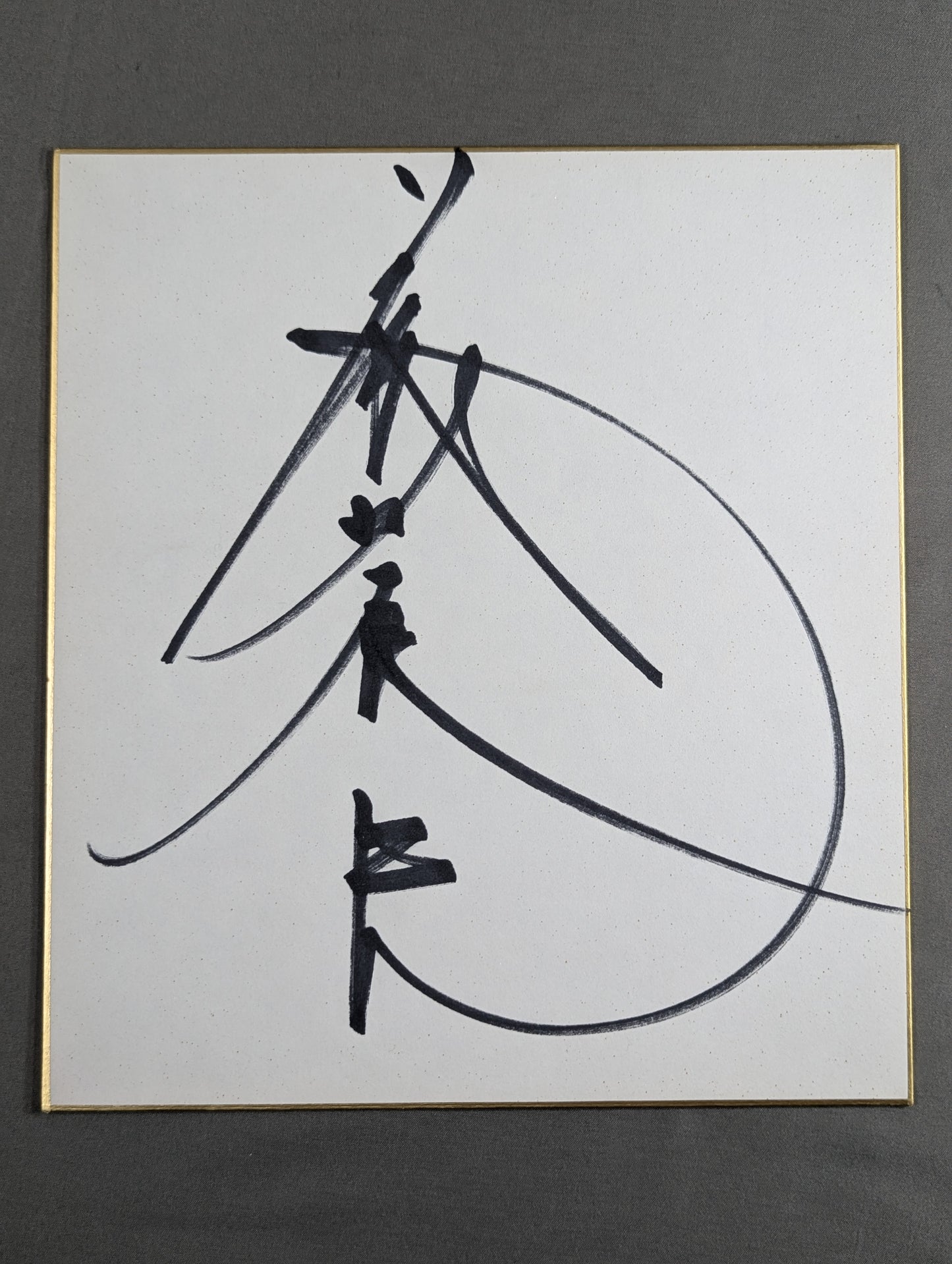 Tatsumi Fujinami 