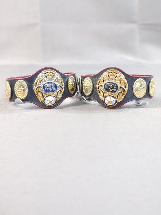 PWF Certified World Tag Team Champion Belt