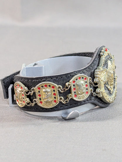 International Tag Team Championship Belt
