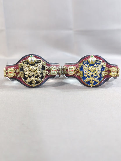 Asian Tag Team Champion Belt
