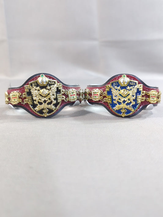 Asian Tag Team Champion Belt