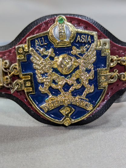 Asian Tag Team Champion Belt