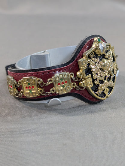 Asian Tag Team Champion Belt