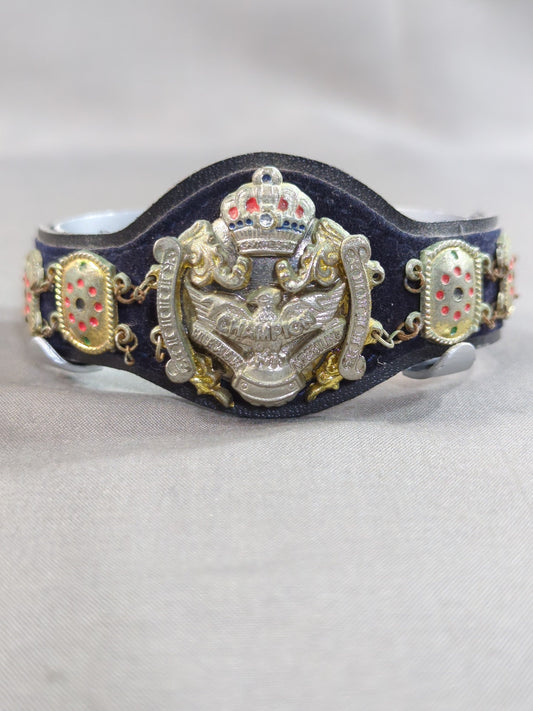 International Heavyweight Championship Belt