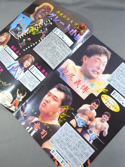 BJW 大日本プロレス / プロレス界を震撼させる格闘の戦士､ここに現わる