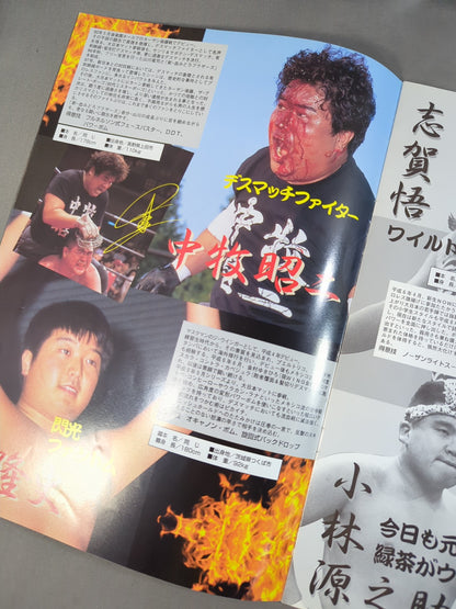 BJW 大日本プロレス / プロレス界を震撼させる格闘の戦士､ここに現わる