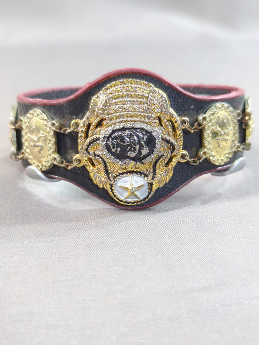 PWF Certified Heavyweight Championship Belt
