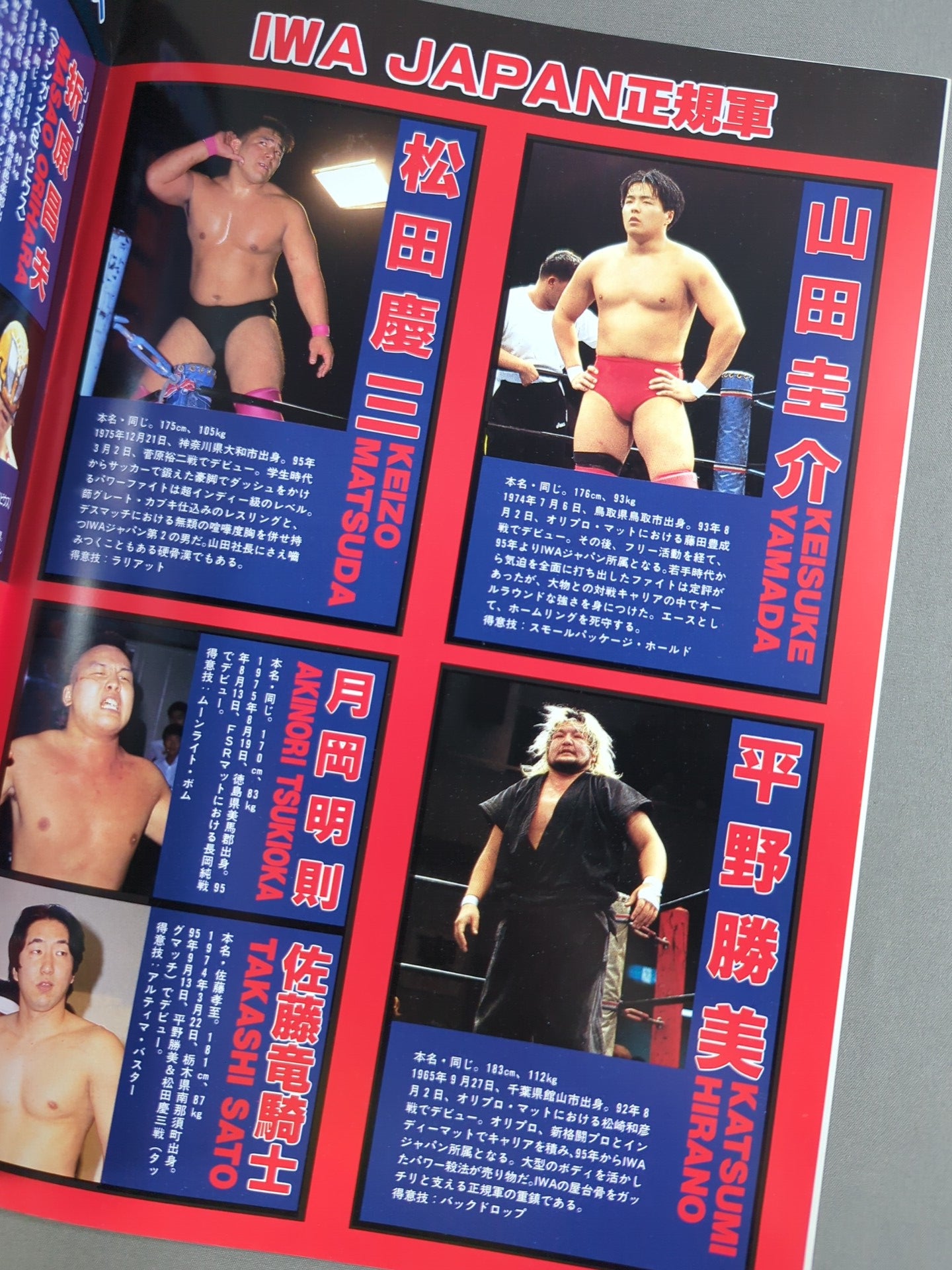 新生 IWA JAPAN プロレス 旗揚げ5周年記念シリーズ