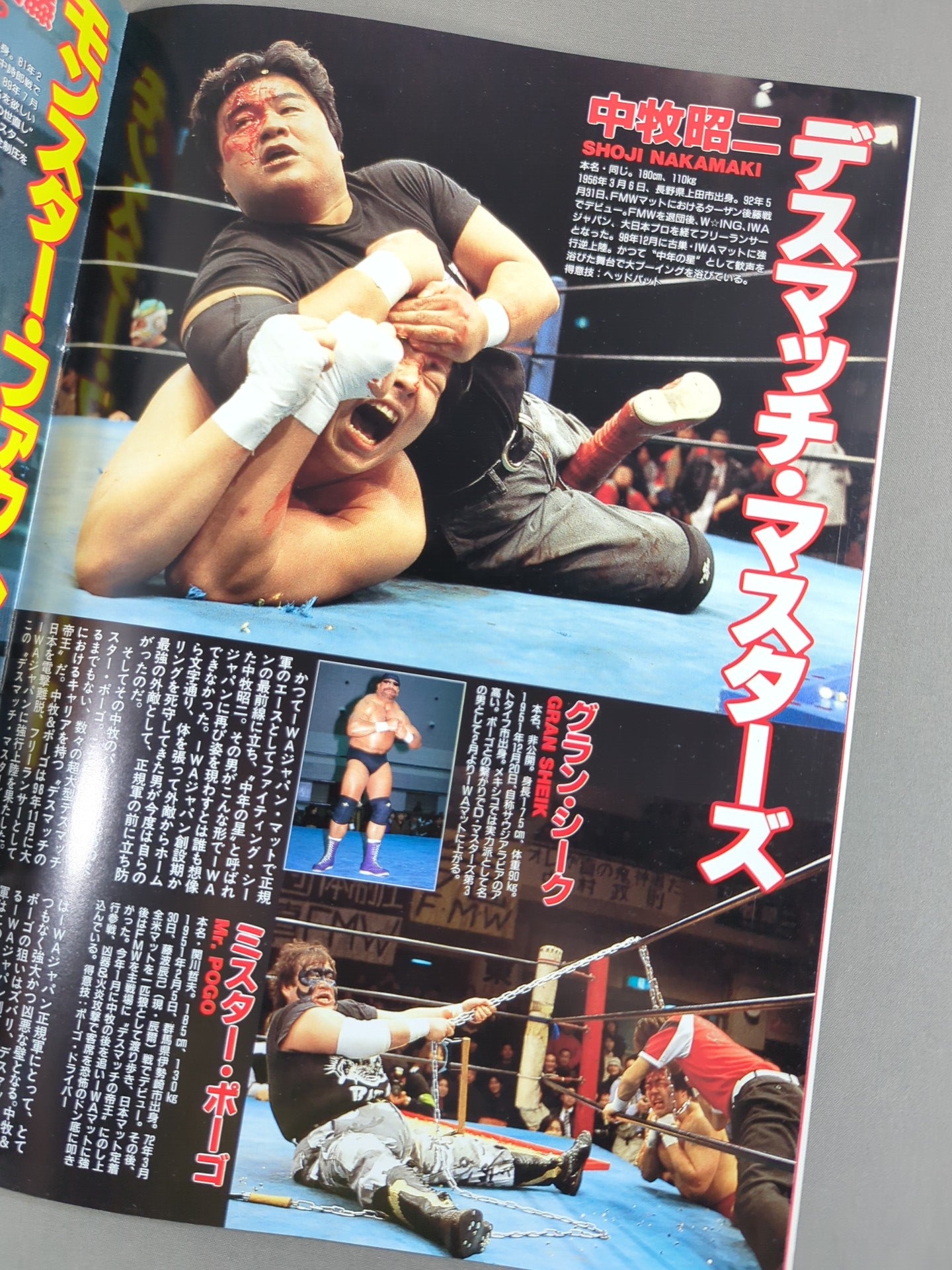 新生 IWA JAPAN プロレス 旗揚げ5周年記念シリーズ