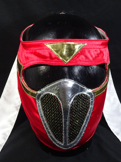 HAYABUSA 