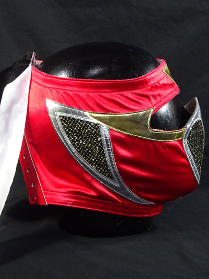 HAYABUSA 