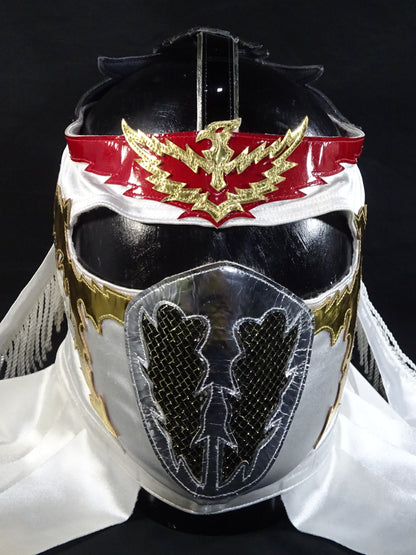 HAYABUSA 