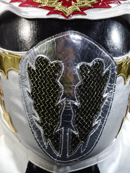HAYABUSA 