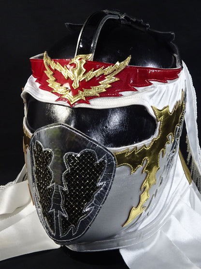 HAYABUSA 
