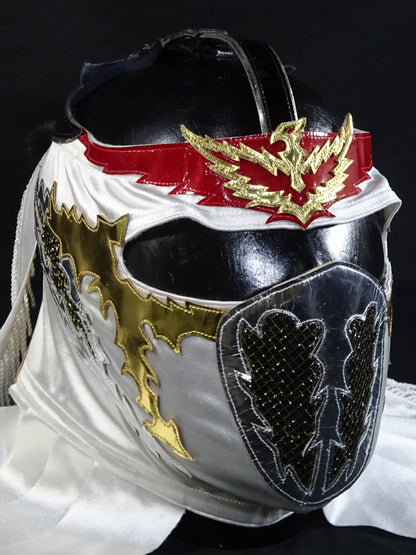 HAYABUSA 