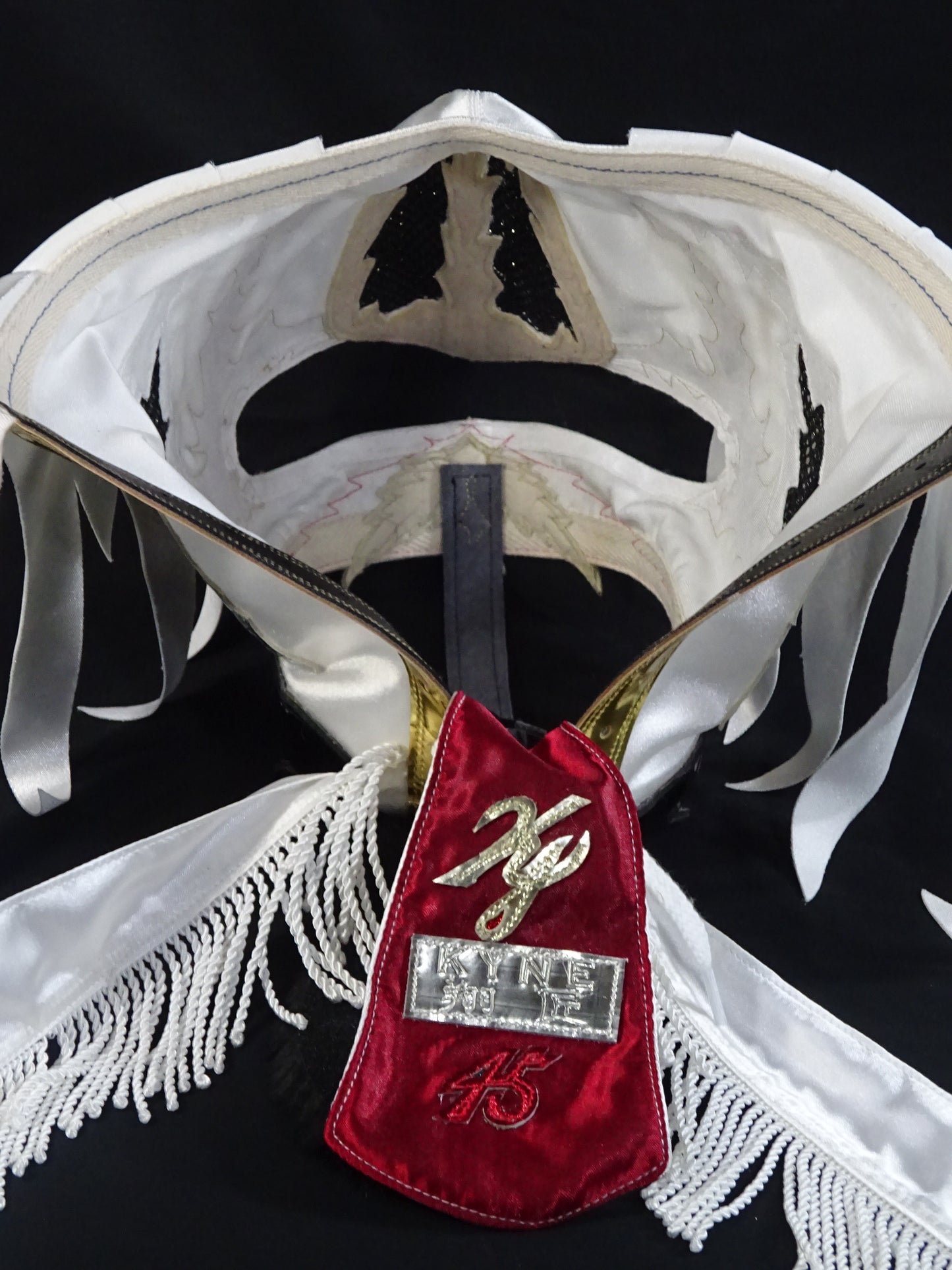 HAYABUSA 