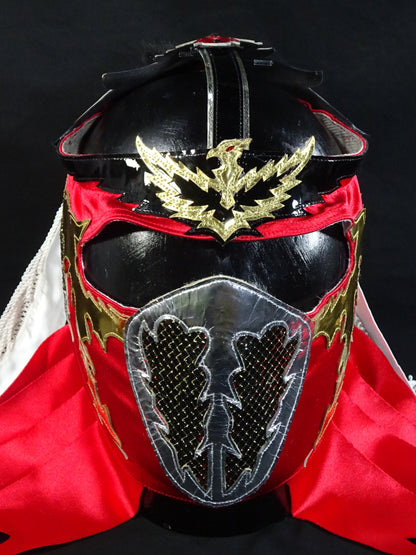 HAYABUSA 