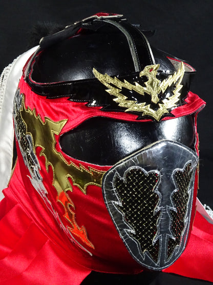 HAYABUSA 