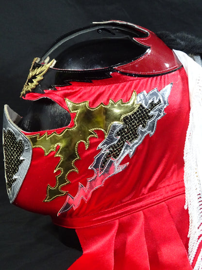 HAYABUSA 