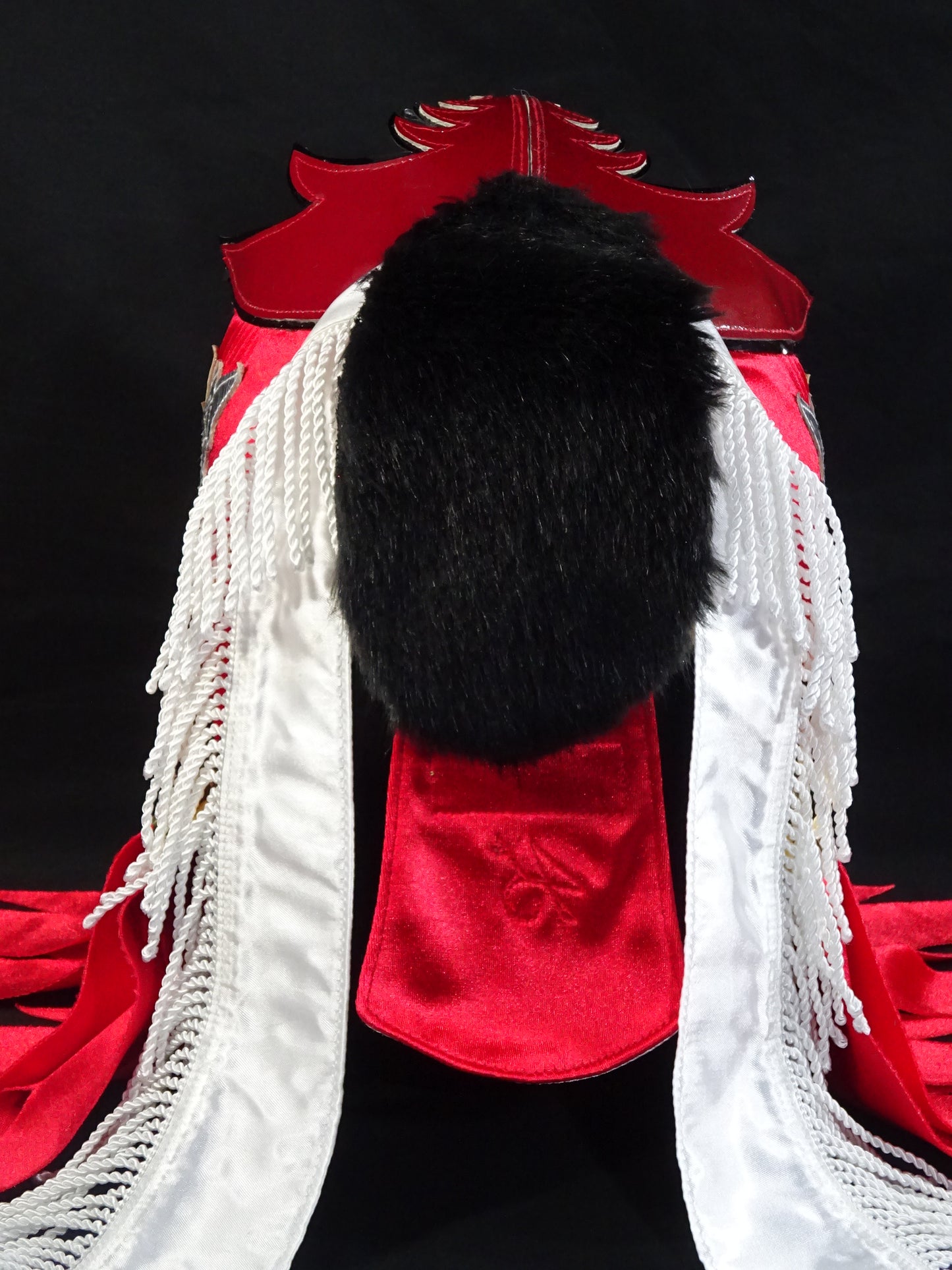 HAYABUSA 