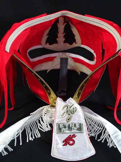 HAYABUSA 
