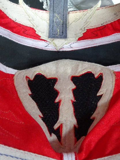 HAYABUSA 