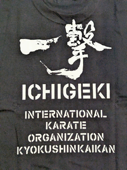 Kyokushin T-Shirt (1) (Black)
