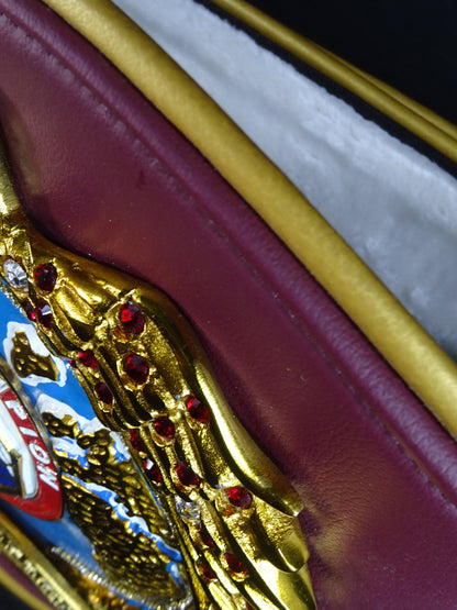 WBO Super World Title Championship Belt