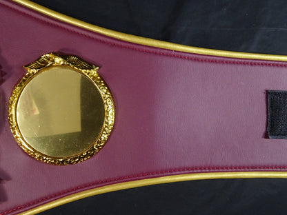 WBO Super World Title Championship Belt
