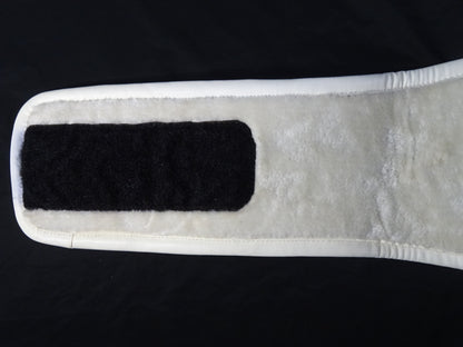 WBO World Championship Belt
