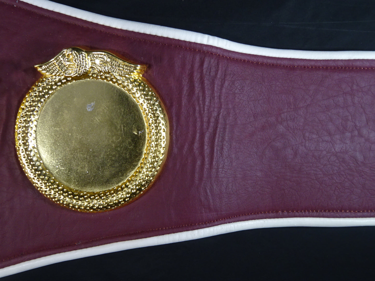 WBO World Championship Belt